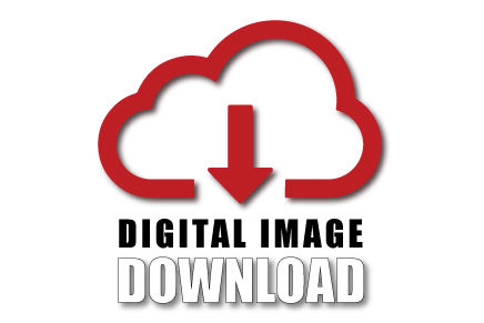 How to download your image.